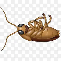 昆虫-空若网 昆虫-空若网