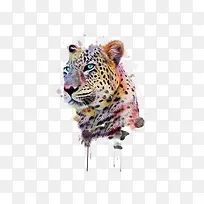 手绘猎豹-空若网 手绘猎豹-空若网