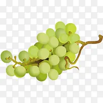 一串绿色的食物-空若网 一串绿色的食物-空若网