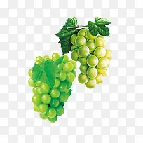 手绘水果-空若网 手绘水果-空若网