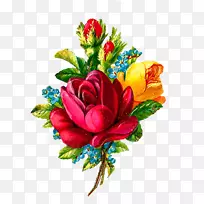 花卉花束玫瑰剪贴画植物花-空若网 花卉花束玫瑰剪贴画植物花-空若网
