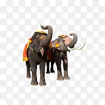 ��ֻ������ӵĴ���-������