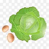 �ֻ��Ҷ�ز�-������