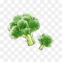 ÊÖ»æÎ÷À¼»¨-¿ÕÈôÍø ÊÖ»æÎ÷À¼»¨-¿ÕÈôÍø