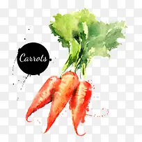 ���ܲ�-������