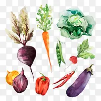 蔬菜-空若网 蔬菜-空若网