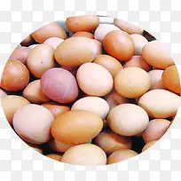 新鲜禽类鸡蛋食物-空若网 新鲜禽类鸡蛋食物-空若网