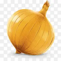 矢量手绘洋葱-空若网 矢量手绘洋葱-空若网