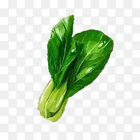 ˮ�ʻ�С�Ͳ�-������