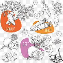 �߲�ʸ��ͼ-������