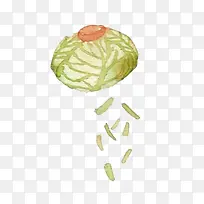 手绘包菜-空若网 手绘包菜-空若网
