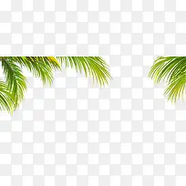 矢量卡通椰子树叶边框素材-空若网 矢量卡通椰子树叶边框素材-空若网