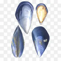 �ֻ溣��-������