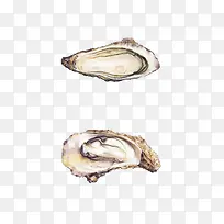 手绘生蚝-空若网 手绘生蚝-空若网