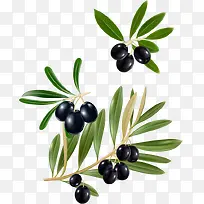 ����pngʸ���ز�-������