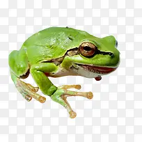 �����ز�-������