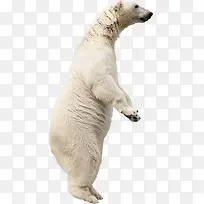 �ɰ��ı�����-������