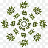 阿拉比卡咖啡叶咖啡茶叶图案-空若网 阿拉比卡咖啡叶咖啡茶叶图案-空若网