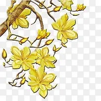 树枝枝叶-空若网 树枝枝叶-空若网