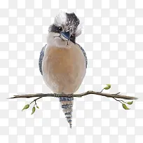 中国风在树枝上的鸟-空若网 中国风在树枝上的鸟-空若网