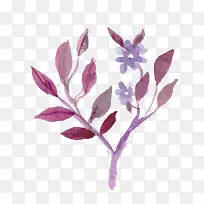 水彩画花与树枝-空若网 水彩画花与树枝-空若网