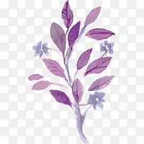 水彩画花与树枝-空若网 水彩画花与树枝-空若网