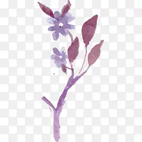 水彩画花与树枝-空若网 水彩画花与树枝-空若网