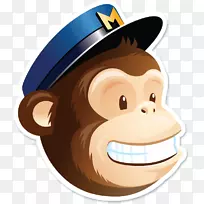 MailChimp徽标电子邮件营销广告活动-黑猩猩-空若网 MailChimp徽标电子邮件营销广告活动-黑猩猩-空若网