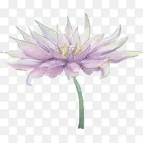 水彩莲花-空若网 水彩莲花-空若网