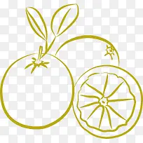 切开的橙子-空若网 切开的橙子-空若网