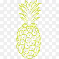 食物菠萝-空若网 食物菠萝-空若网