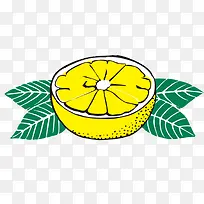 卡通带叶子橙子矢量图-空若网 卡通带叶子橙子矢量图-空若网