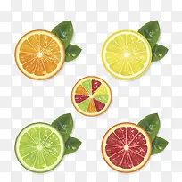 矢量水果素材-空若网 矢量水果素材-空若网