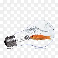 创意灯泡-空若网 创意灯泡-空若网