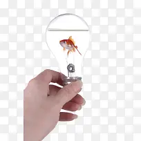 创意灯泡中的金鱼-空若网 创意灯泡中的金鱼-空若网