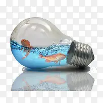 ����������-������