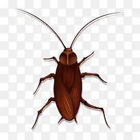 卡通可爱小动物装饰动物头像蟑螂-空若网 卡通可爱小动物装饰动物头像蟑螂-空若网