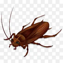 卡通可爱小动物装饰动物头像蟑螂-空若网 卡通可爱小动物装饰动物头像蟑螂-空若网