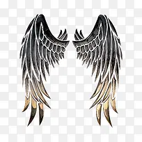 精美的翅膀-空若网 精美的翅膀-空若网