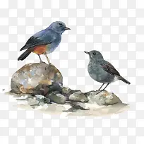 水彩小鸟-空若网 水彩小鸟-空若网