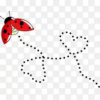 瓢虫-空若网 瓢虫-空若网