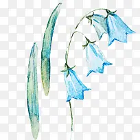 水彩喇叭花-空若网 水彩喇叭花-空若网