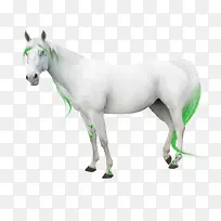 ����png�ز�-������