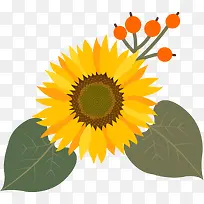 �ֻ����տ�-������