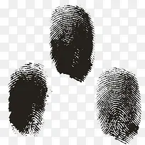 指纹-空若网 指纹-空若网