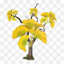 Ò»¿ÅÊ÷-¿ÕÈôÍø Ò»¿ÅÊ÷-¿ÕÈôÍø