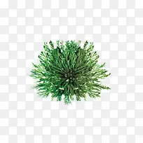 唯美清新淘宝护肤复活草-空若网 唯美清新淘宝护肤复活草-空若网