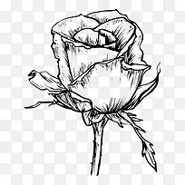 �ֻ�õ�廨-������