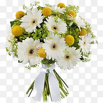 ��ɫ�ջ�����-������