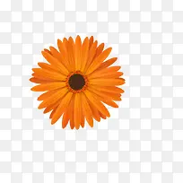 �ջ�ʸ��ͼ-������